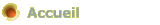 Accueil